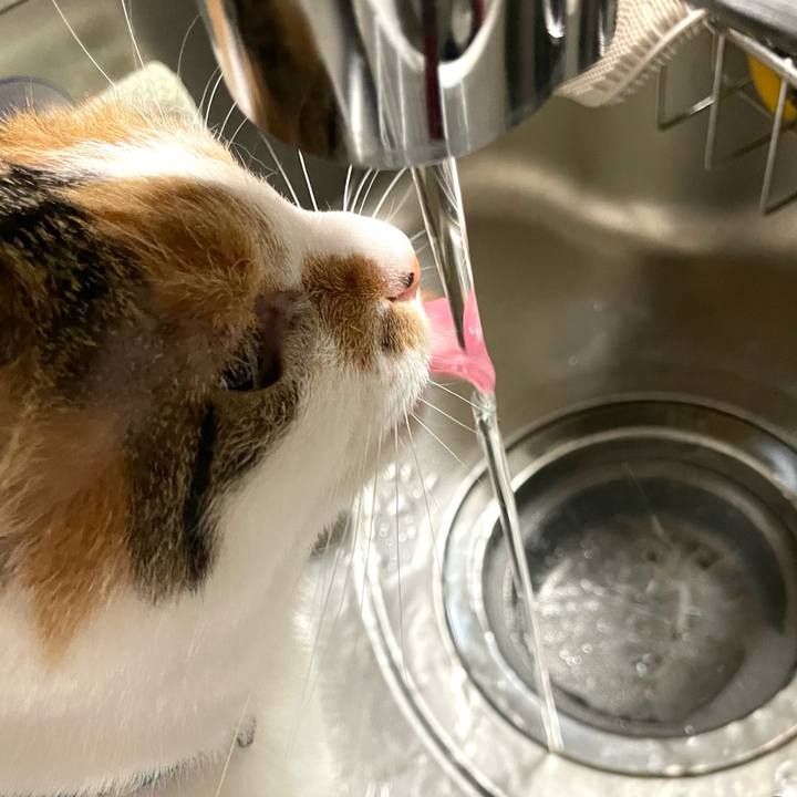 7e426109 f6d3 4554 9dbc 76ec75f741a6 1696862611357