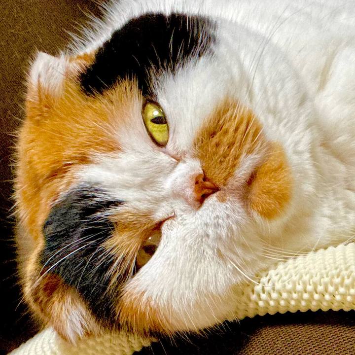 7e42a07f 29ee 45d7 8fe5 929359aa5aa5 1670540841829