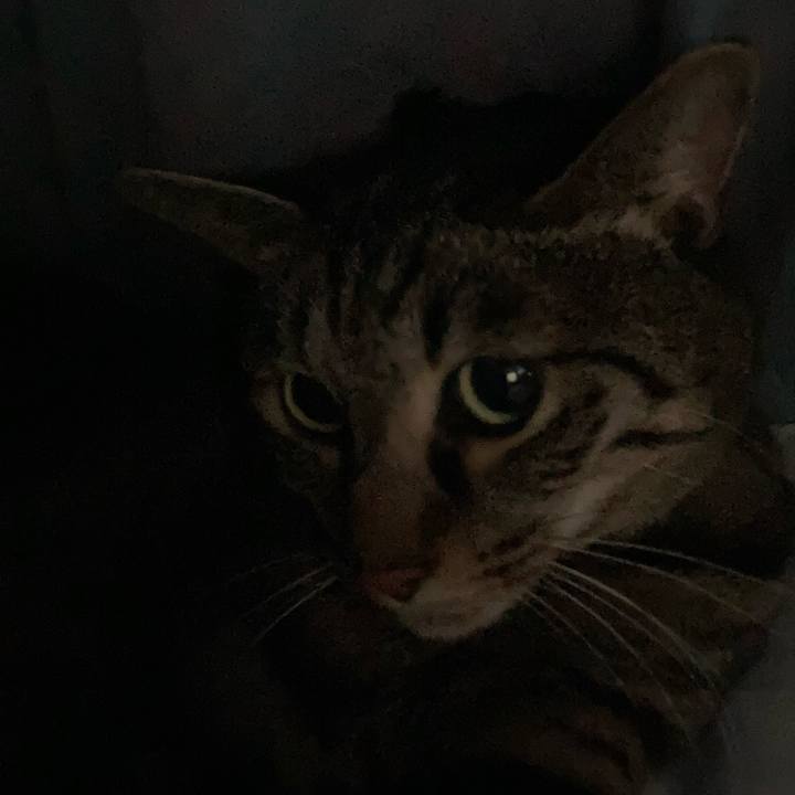 7e42a6ae 0bdc 44e9 b7aa 6737851c4e83 1608647667997