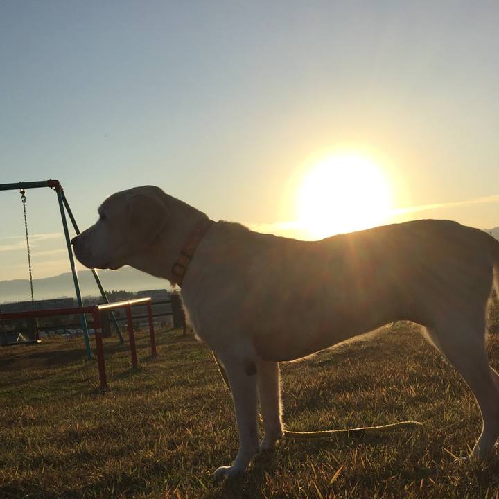 7e42ba11 366c 41cb bee7 0257017ba186 1605084821495