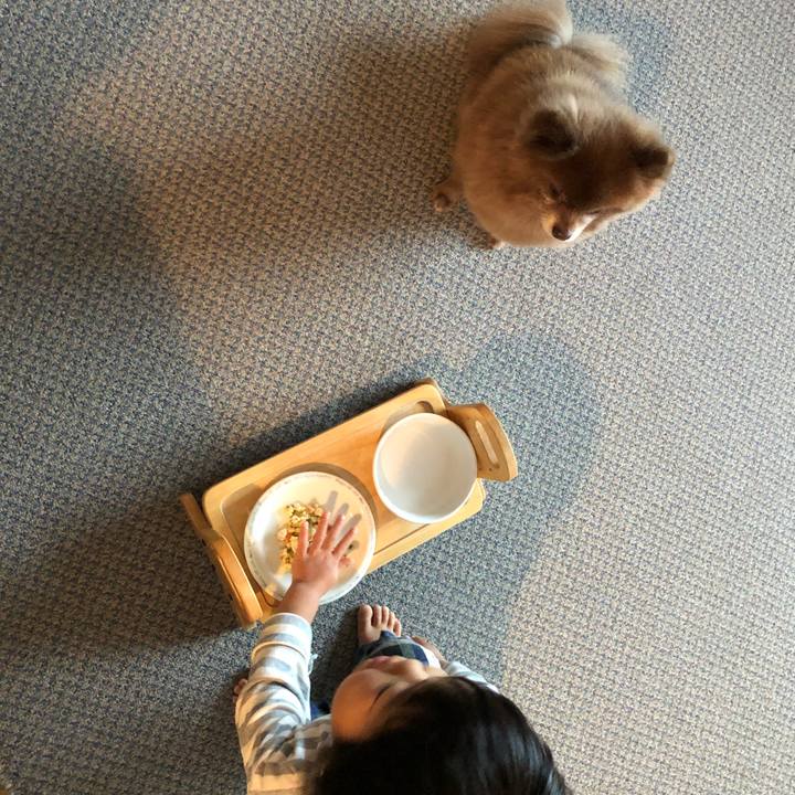 7e42ba37 b3fa 4499 b329 cf62502d110a 1540858685398