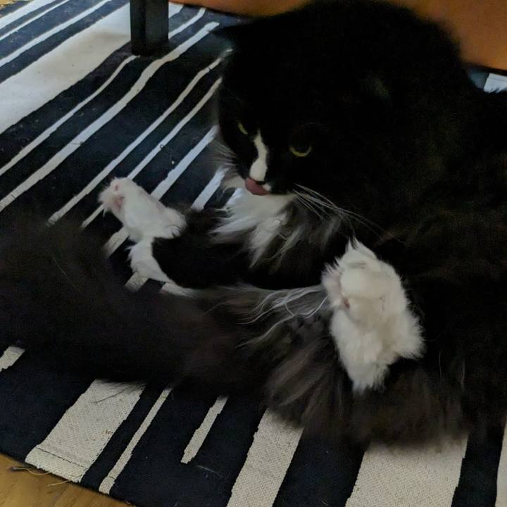 7e42ed06 2013 4d87 934a 1bc0ea22e7be 1689583775717