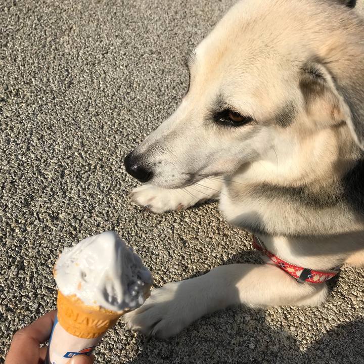 7e42fd6e e8e0 492e 9ec4 67959eb8948c 1541940533026