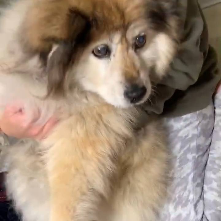 7e431e06 652f 4974 b50d 18d1d7a9cd4e 1639289080583