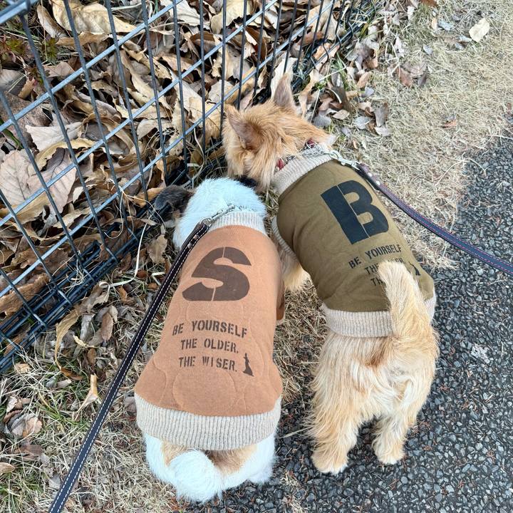 7e4343ee 1a62 4751 9467 aabe76f3300b 1766941968793