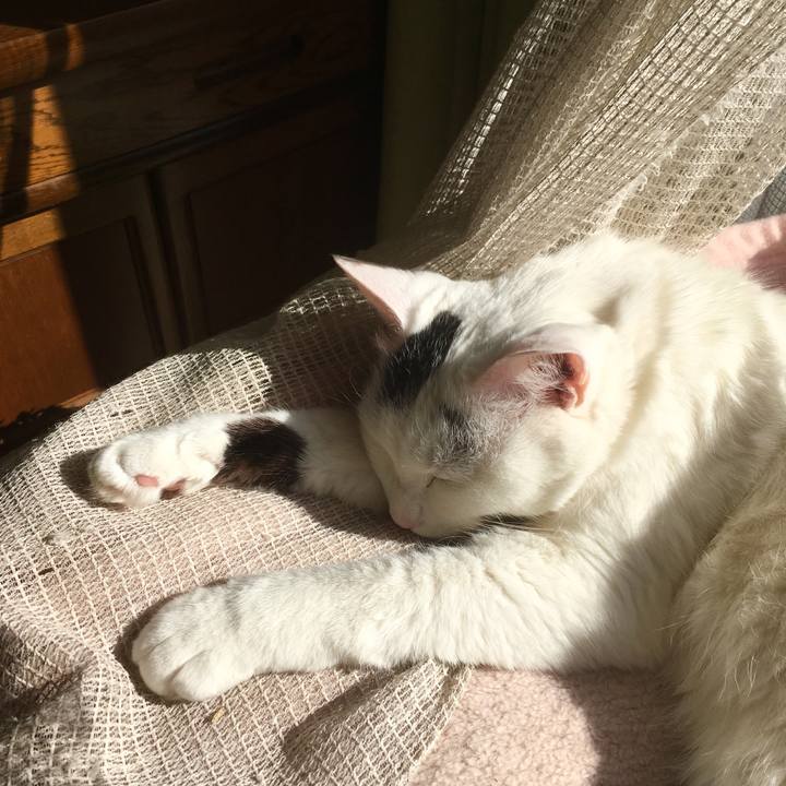 7e434eae 744b 4a6e 8a85 ad106c2a5f21 1554846663230