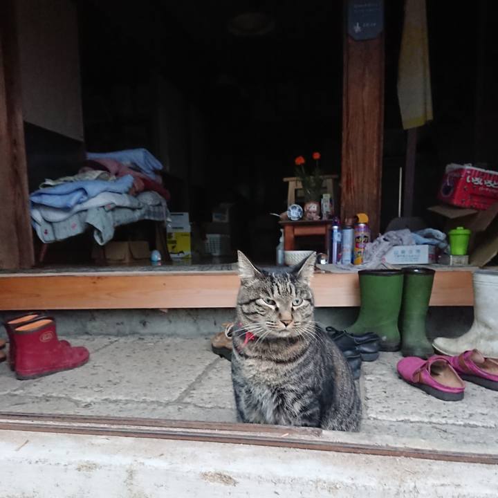 7e435afb 8bd6 40c7 86e9 9fafe39f0a6e 1663364264293