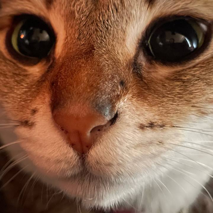 7e43a3d7 320b 44c0 a98b f2a4a4e58af1 1744084670615