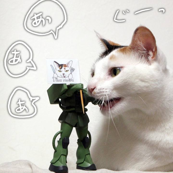 7e43deef 15b0 49d2 8093 877eecea187e 1593257244621