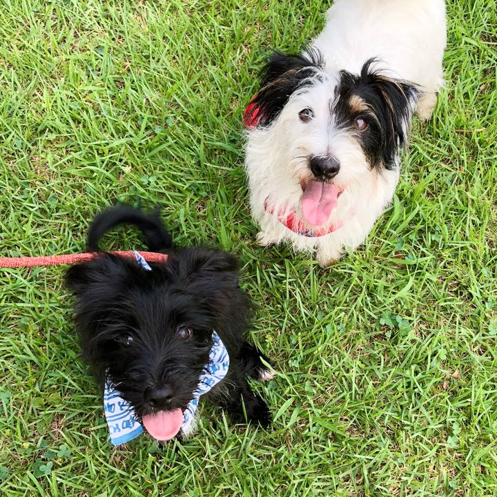 7e43e48a a3fe 4c00 adb1 46b28ce80d19 1533509121207