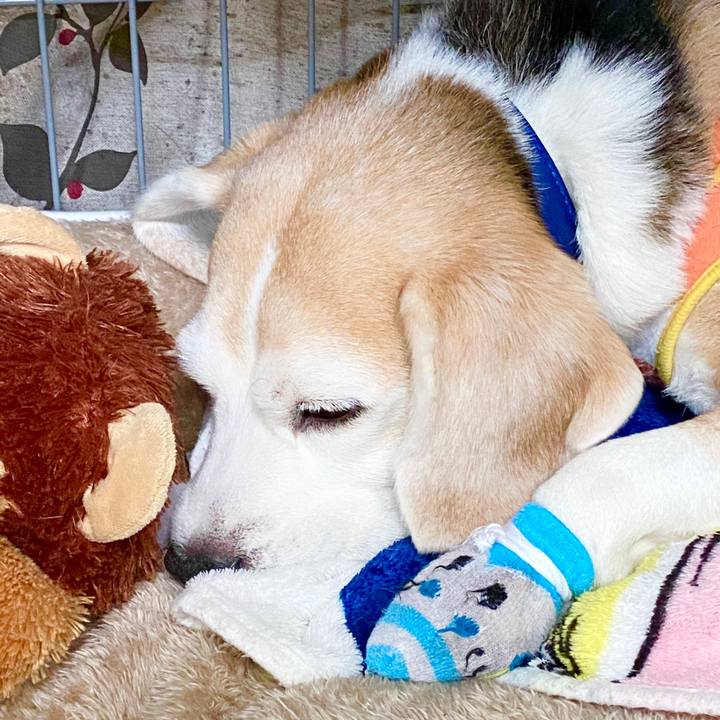 7e43f511 f74f 43d1 8580 1e83f5861b91 1584935476068