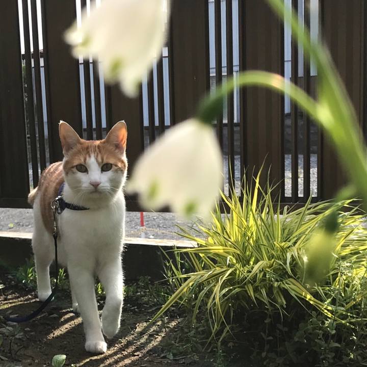 7e442cfe 9d01 4214 bed7 3ffd6274c700 1525611879844