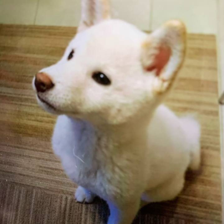 7e444f59 5585 420a b677 cb1e63895a63 1619396634252