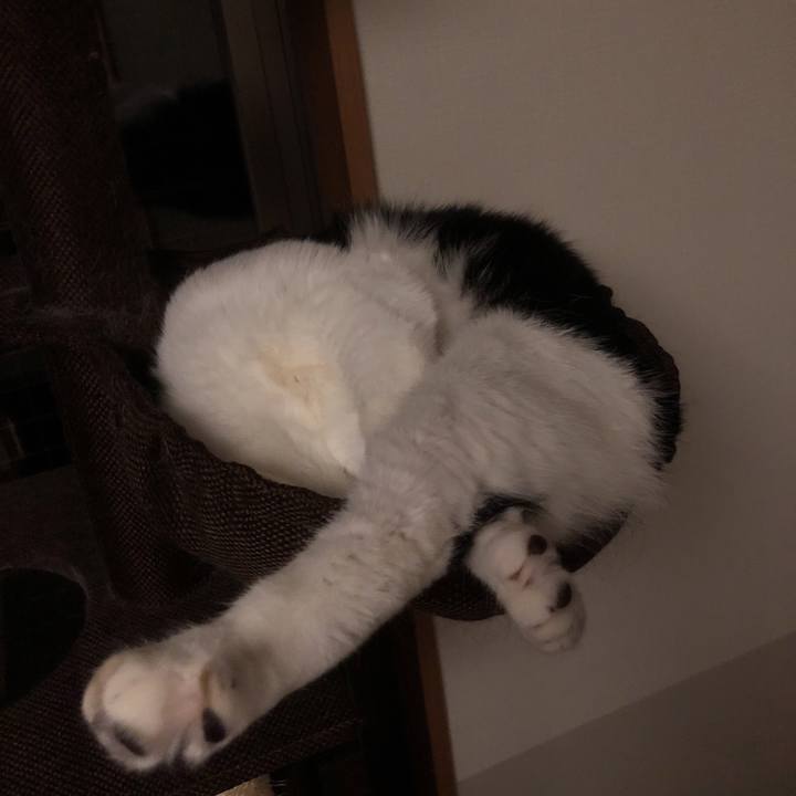 7e44a8c8 7638 4a18 94f8 1f98023bfb88 1562525567056