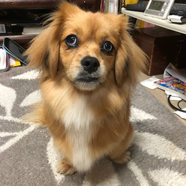 7e44c724 aecd 4942 ab41 76e42300ce15 1519857203126