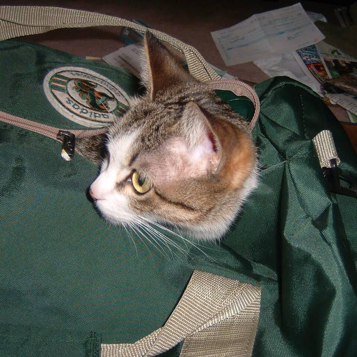 7e450f87 1067 4118 b3e4 00333620534e 1762988021700