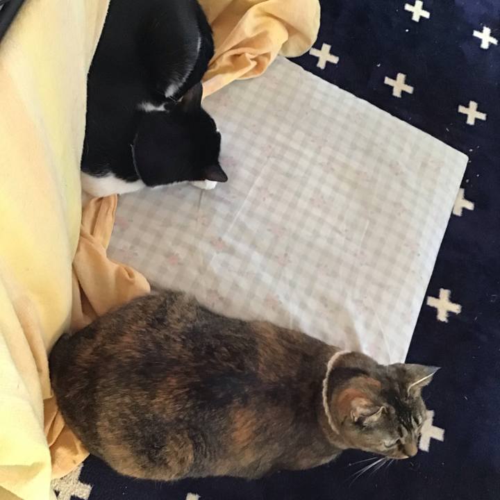 7e4517c0 689a 4717 997d ceab7683ac0b 1713311398039