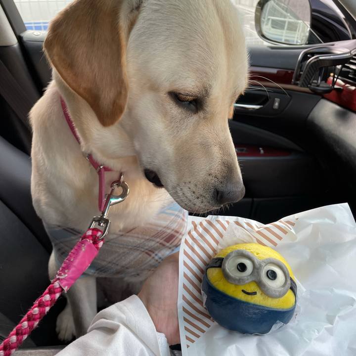 7e453a3a 5edd 4e88 b3b6 0f7318d6c78e 1635512567915