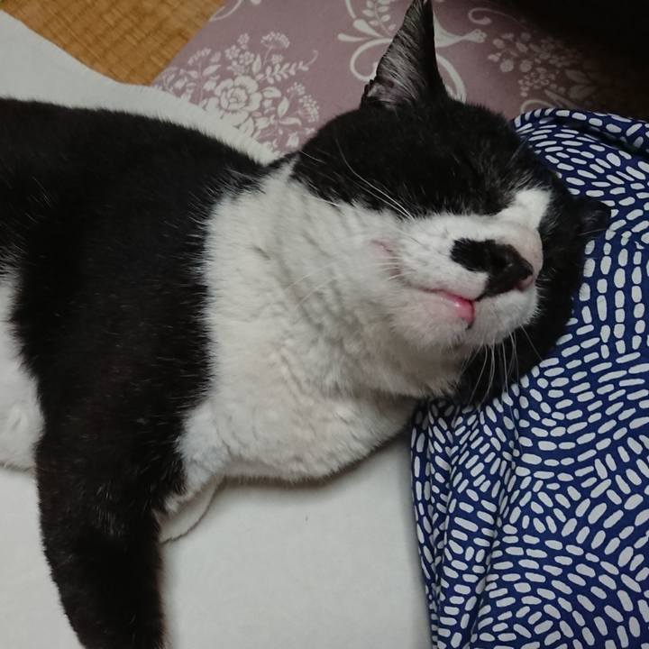 7e455c8f 8a0b 407e 820b 7d2202bb8c05 1590490182171