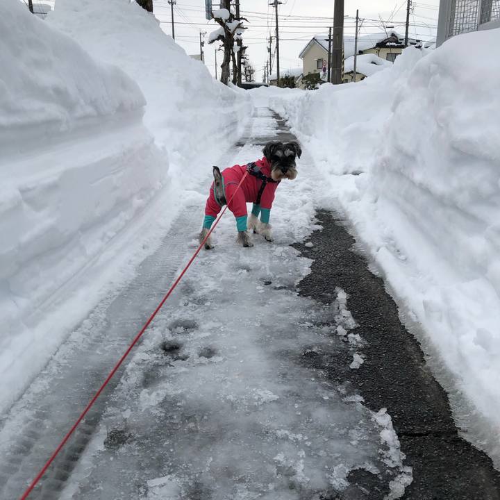 7e460efc 4bf1 4ad3 be5c ba07d9ea6510 1610446810516