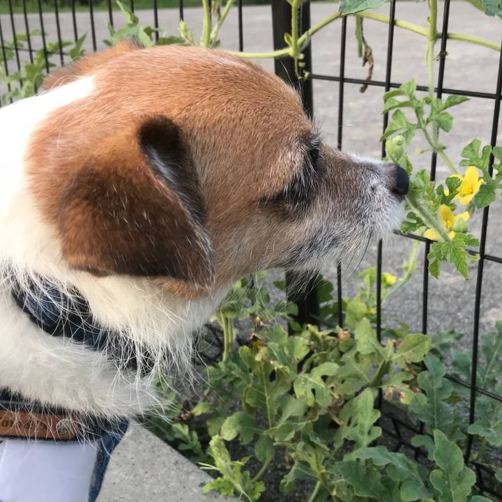 7e4613dc 0b97 4b7c 9f34 8b9d8b02b8f0 1536536731455