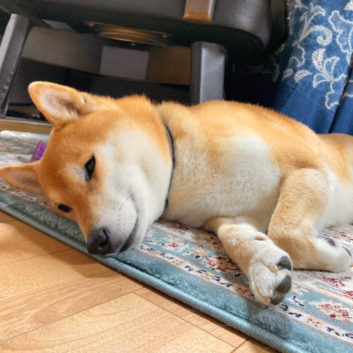 7e466476 0919 4cec a349 7fc258cde1cb 1679475724220