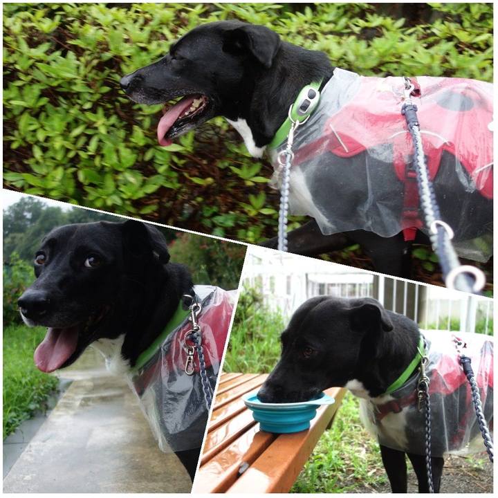 7e469a9a 85cb 4106 bddf 254efd2280a7 1625750391669