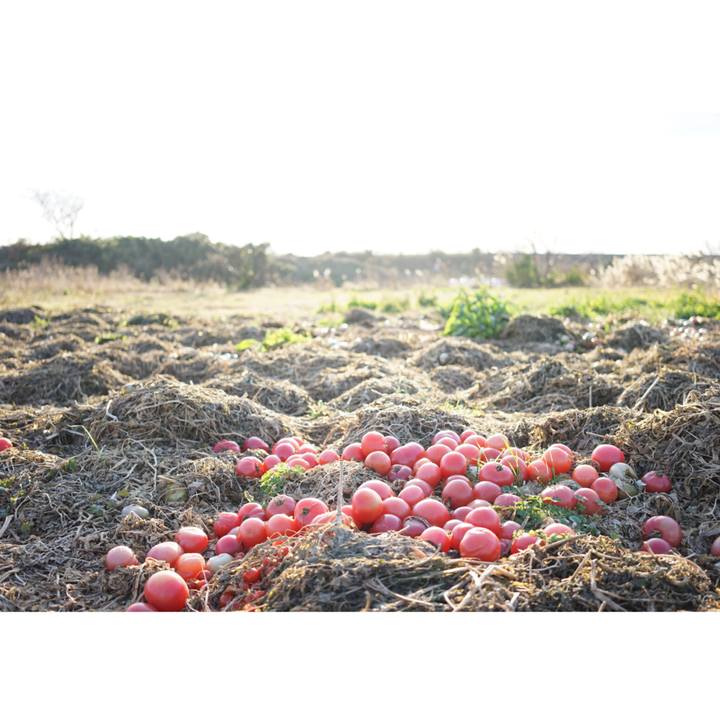 7e469c33 7334 4041 9ddd 8bd30a598fb3 1530576478407