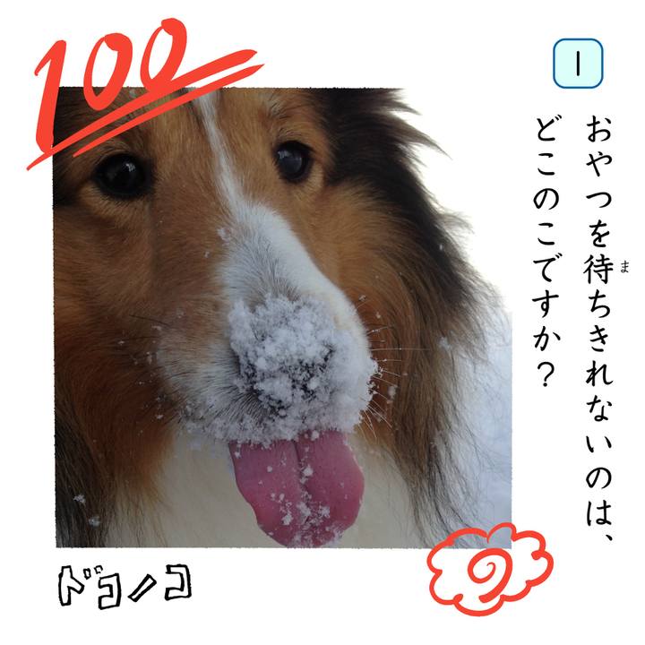 7e46a67e 67fe 4cfc ac12 774051468f3a 1744692812862