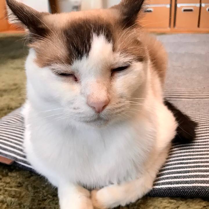 7e46cbc3 3415 420a ace5 185b645d89fa 1600484065763