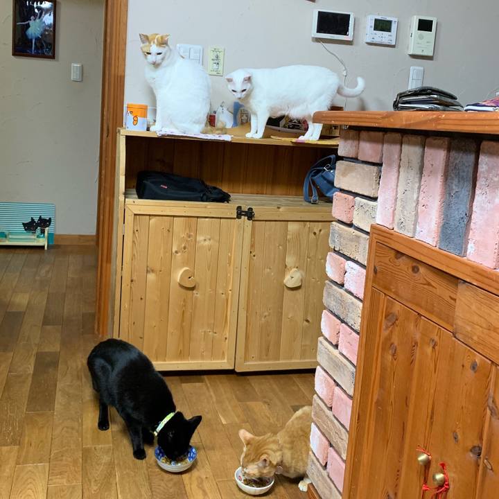 7e46d707 e327 4425 bb12 5cecdec9d7e1 1555765135338