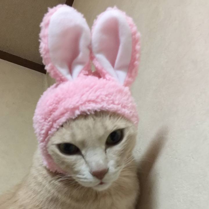 7e470f01 016e 425d 8dd8 2bb614d43f6b 1589356271323