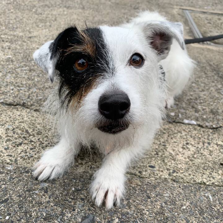 7e47ad98 fe91 4bc4 a9d3 b3c21693ffba 1655884194754