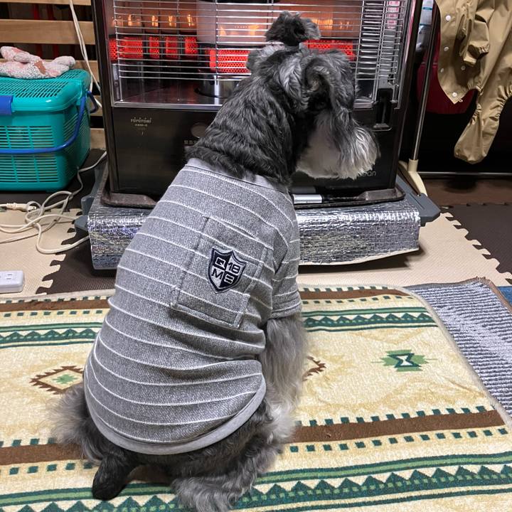 7e47b417 195b 4537 8357 37a79e9c9a41 1733579226251