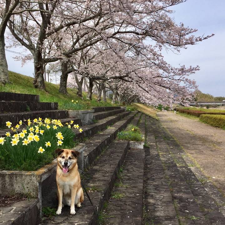 7e47d801 b422 42ea 8ee1 bdf32e812cd2 1555039081327