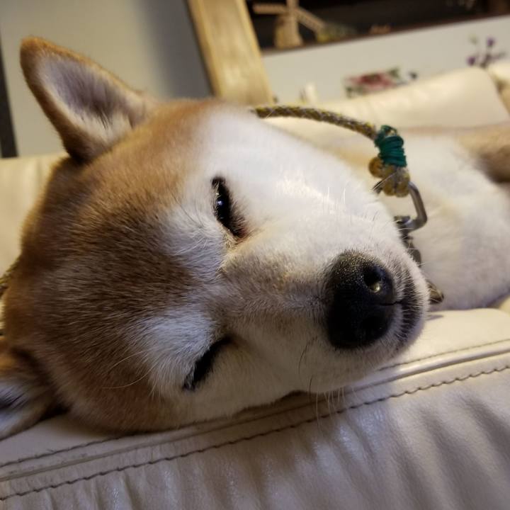 7e47e4c8 c139 43af 9375 7b6e9a55ed03 1599105777579