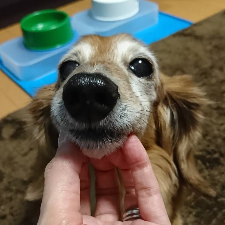 7e47ea90 4b6f 4226 8ed4 ec62b86bbe6b 1720113936110