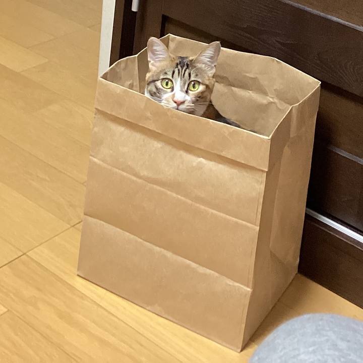 7e484e3a 3fdc 439c 8f89 67ee7f32e41d 1705456755629