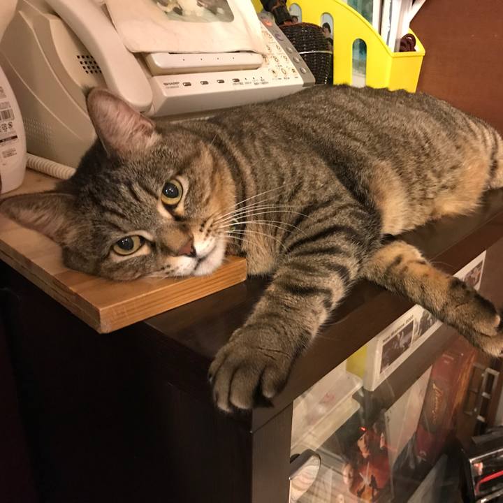 7e485772 39d0 4d2d a471 6c37def84e58 1569949531607