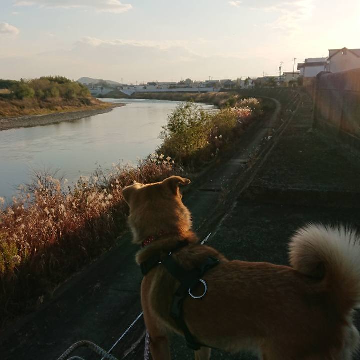 7e48698e e35a 4c86 87a6 32239ddc6bb2 1543791508705