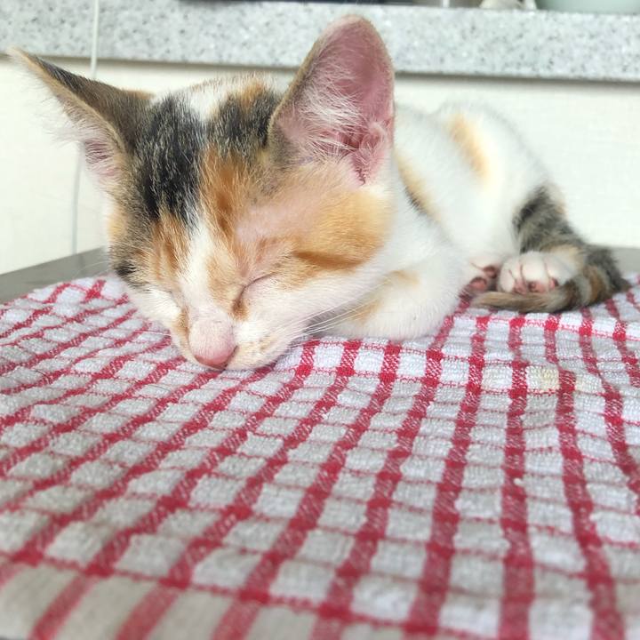 7e486b38 14e4 4711 a420 95d46fa5a06f 1562990410156