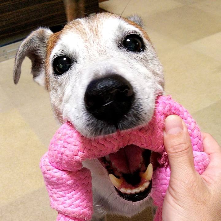 7e486c01 708a 4b05 9768 90c32a5ff09f 1597270841081