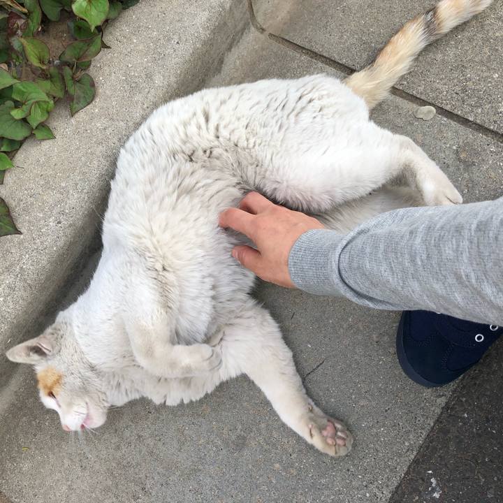 7e487604 71d1 4ac8 b640 bf164e3ee3d2 1556175428888