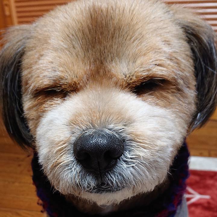 7e48a4e7 d965 48fb a037 f80c0b5fb06a 1550844210517