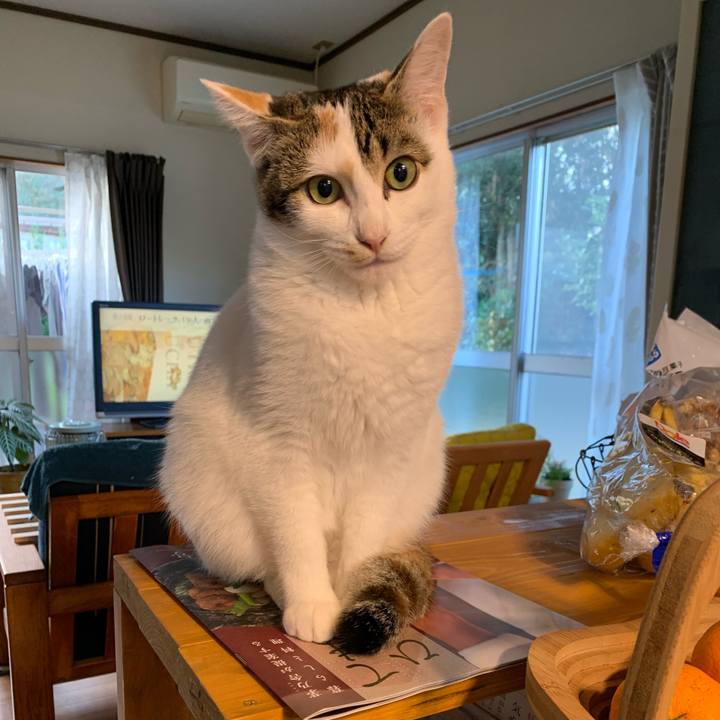 7e48d9b4 97ec 47eb ba5e 539c253c3b4f 1605915541675