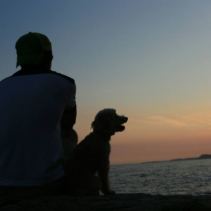 7e48f663 6144 4961 92f2 94ad608f81a2 1537989667910