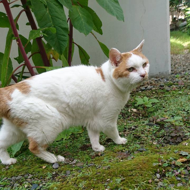 7e4931de b306 40b2 83e8 e9501c6b07e2 1644119921560