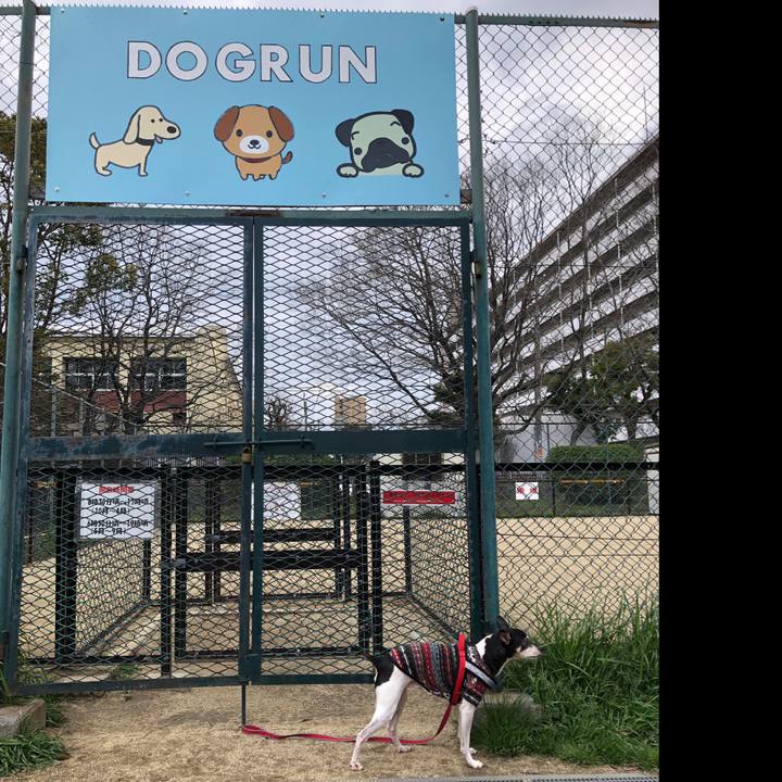 7e494679 ea14 42a1 98c2 406c2dea4447 1552774683623