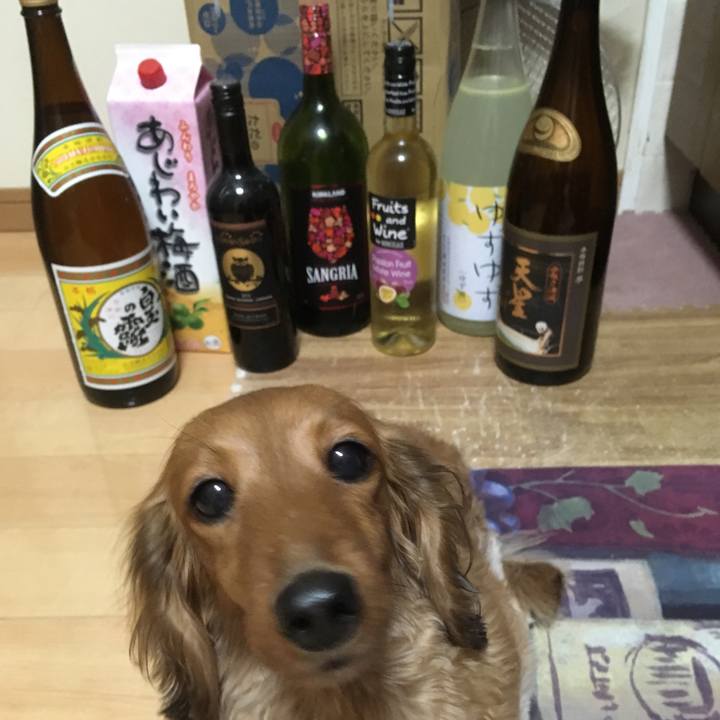 7e4946e7 cb71 473c aa44 4831e2de7698 1514194820494