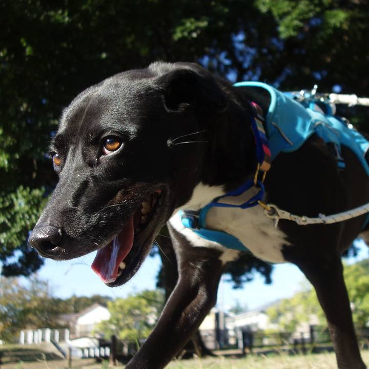 7e496125 5f31 4430 9ee6 2315491bdf6c 1635036086291